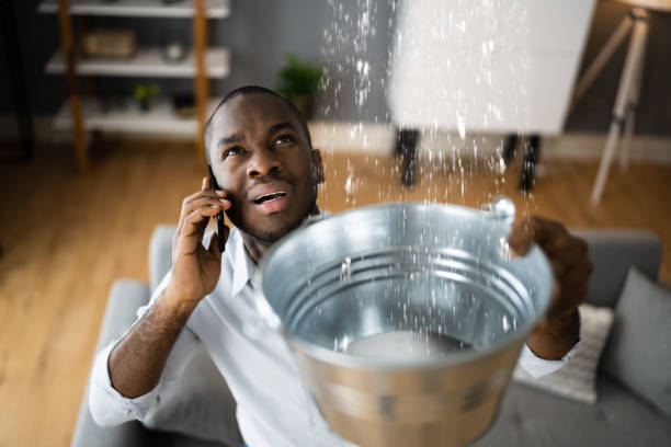 Best Commercial water damage restoration  in Escondido, CA