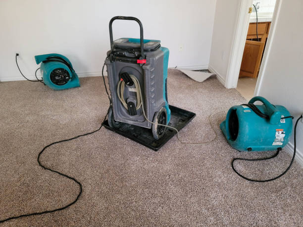 Best Sewage cleanup and water damage restoration  in Escondido, CA
