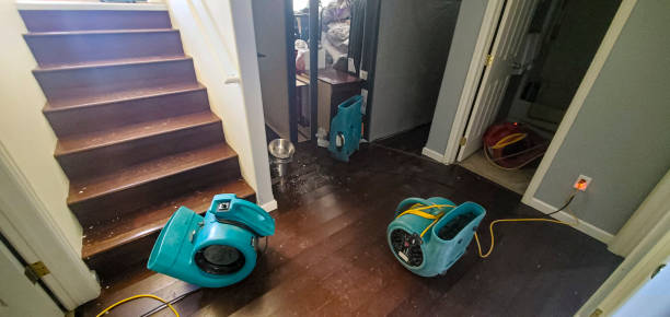 Best Mold removal after water damage  in Escondido, CA