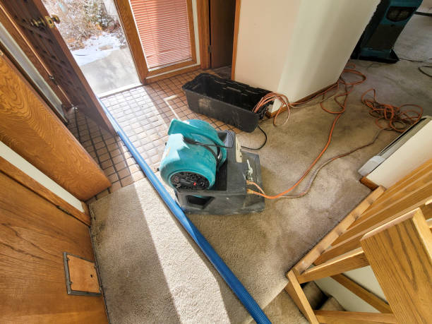 Best Basement water damage restoration  in Escondido, CA