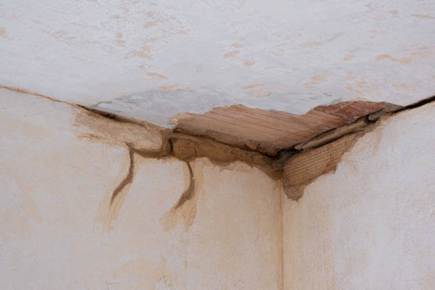 Reliable CA Water damage restoration Solutions