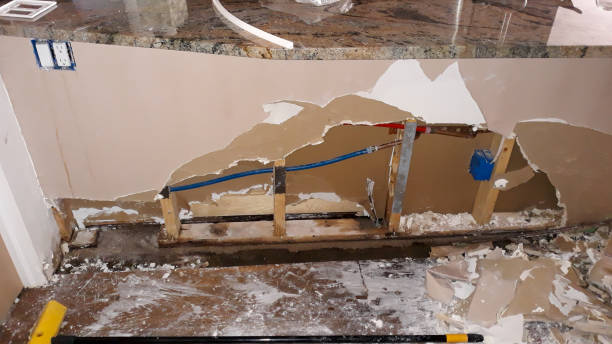 Best Carpet water damage restoration  in Escondido, CA