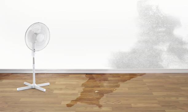 Sewage cleanup and water damage restoration in CA
