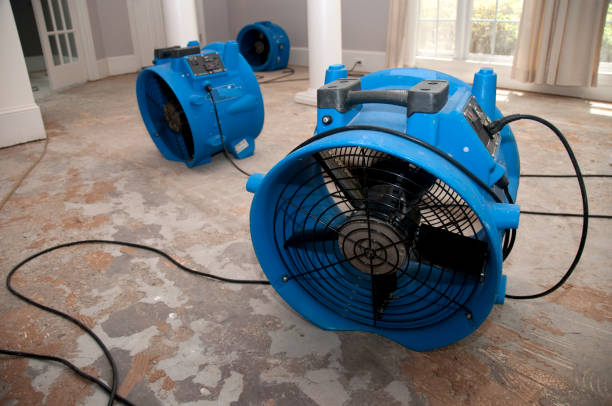 Best Carpet water damage restoration  in Escondido, CA