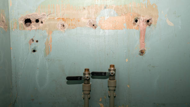 Best Emergency water extraction  in Escondido, CA