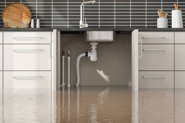 Best Sewage cleanup and water damage restoration  in Escondido, CA