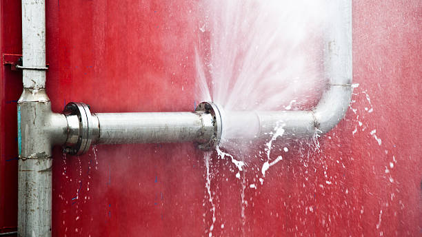 Best Flooded house restoration  in Escondido, CA