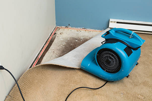 Best Water damage restoration near me  in Escondido, CA